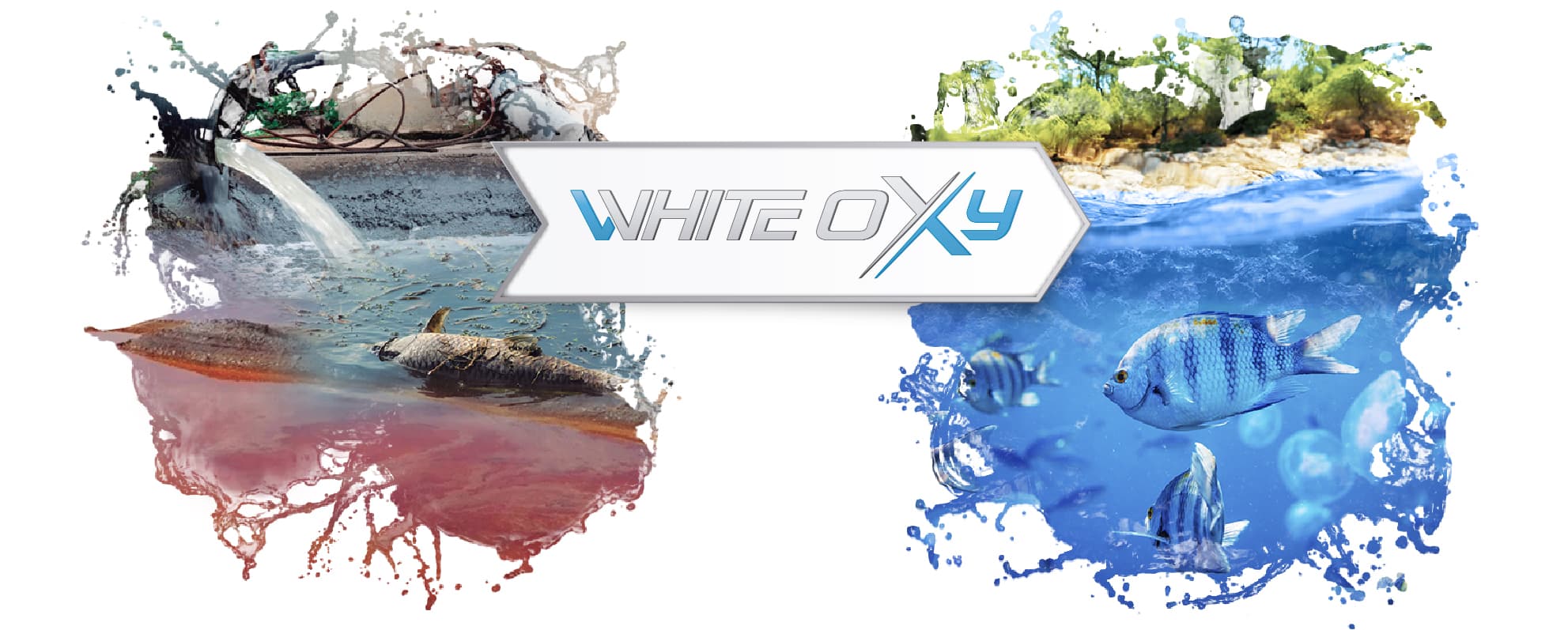 Cuerpo de agua recuperado tras el tratamiento con White Oxy