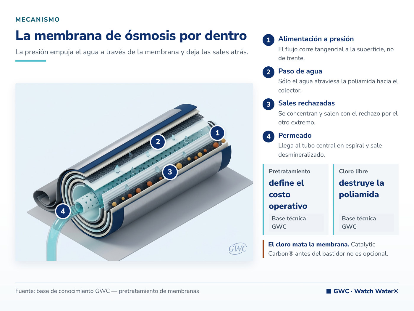 Agua en la industria farmacéutica: la membrana de ósmosis inversa retiene las sales