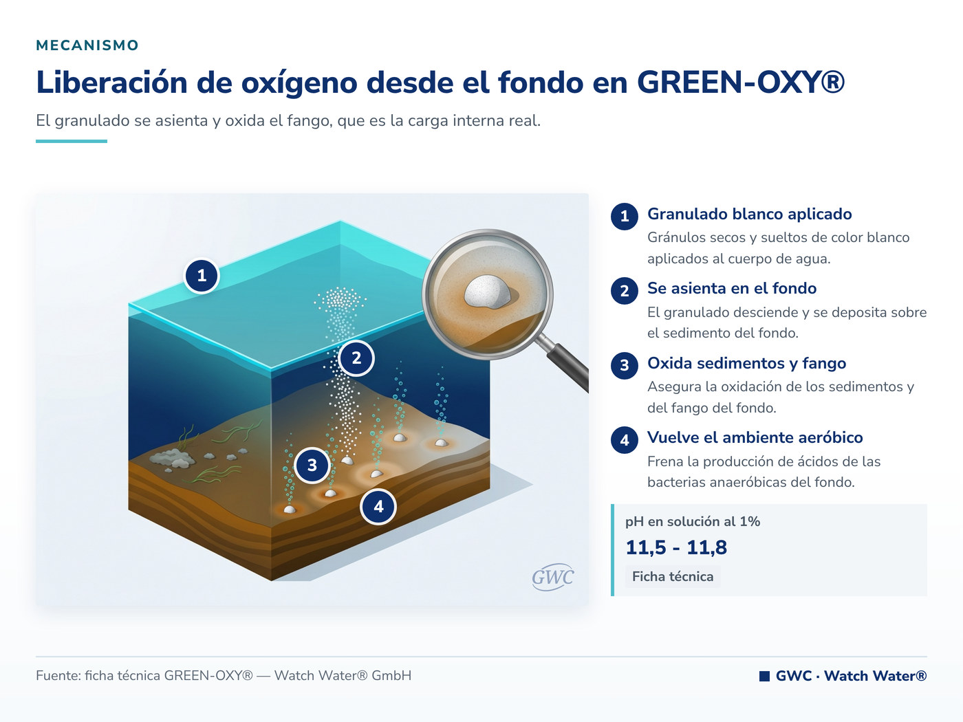 Liberación de oxígeno desde el fondo en GREEN-OXY®: el mecanismo de GREEN-OXY® aplicado a anoxia y algas en reservorios