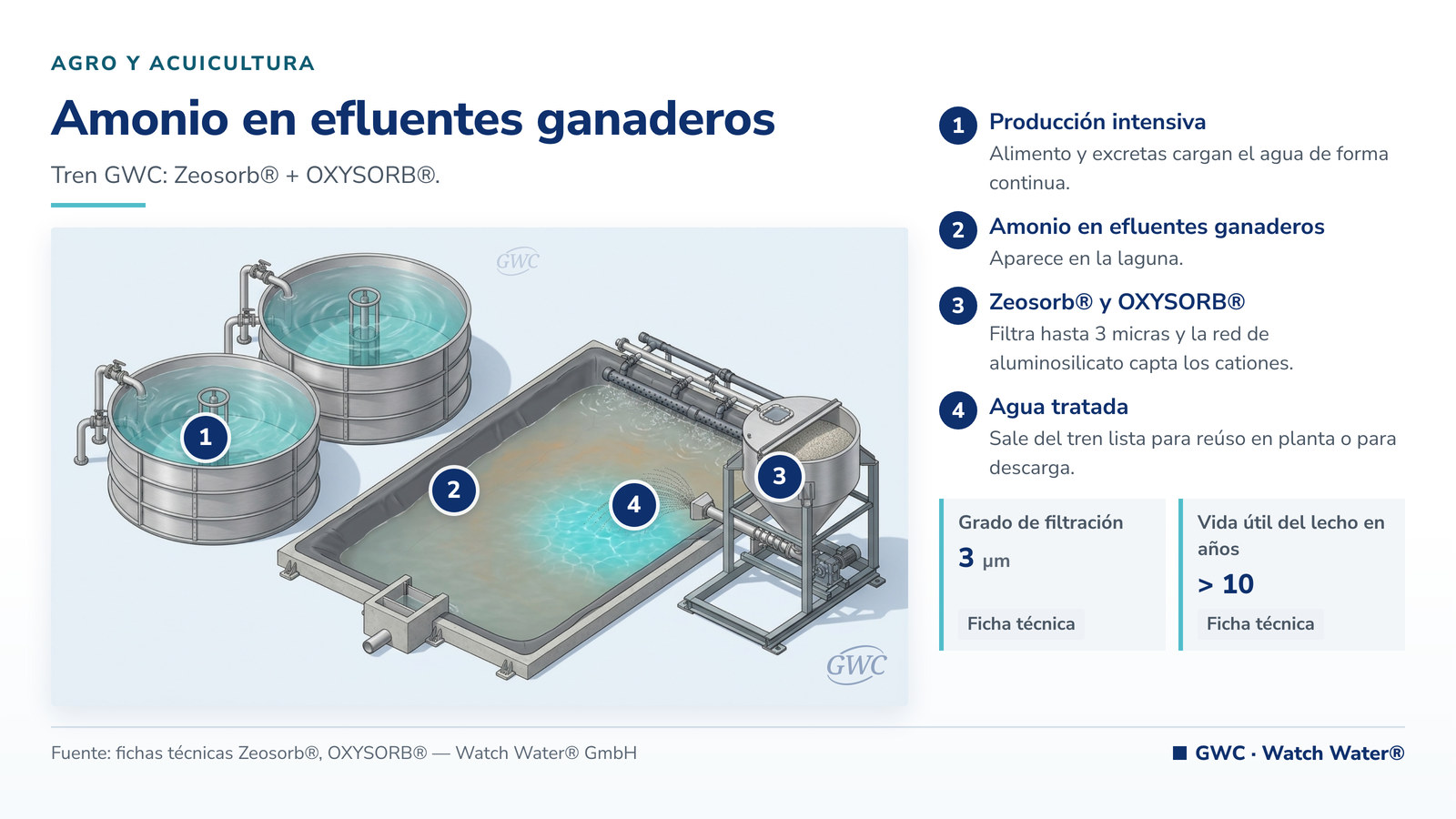 Remoción de amonio en efluentes ganaderos: amonio en efluentes ganaderos y piscícolas y el tren de tratamiento de GWC