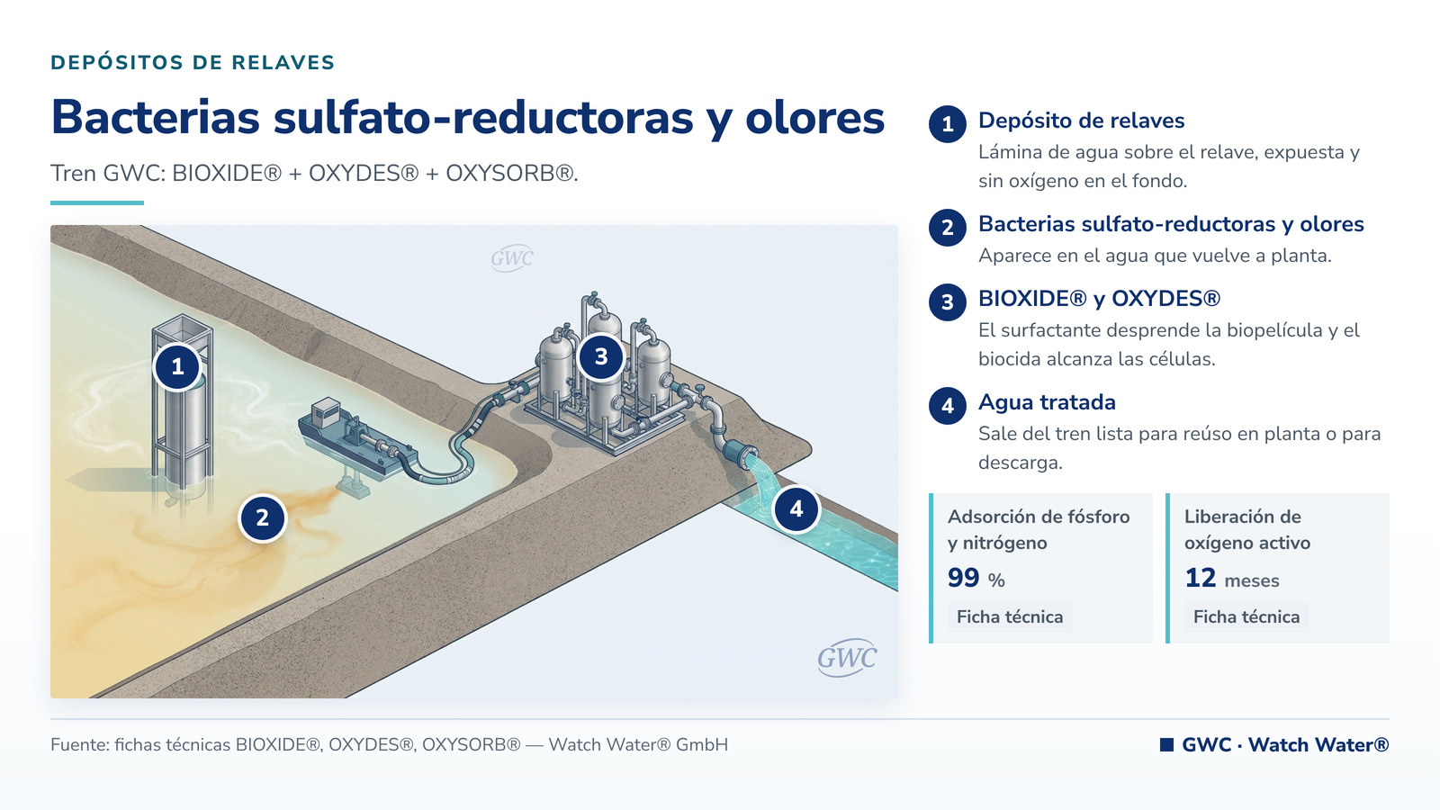 Control de bacterias sulfato reductoras: bacterias sulfato-reductoras y olores y el tren de tratamiento de GWC