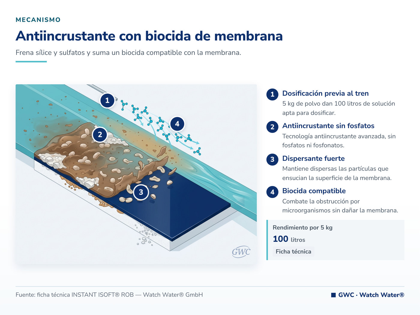 Antiincrustante con biocida de membrana: el mecanismo de INSTANT ISOFT® ROB aplicado a biofouling de membranas