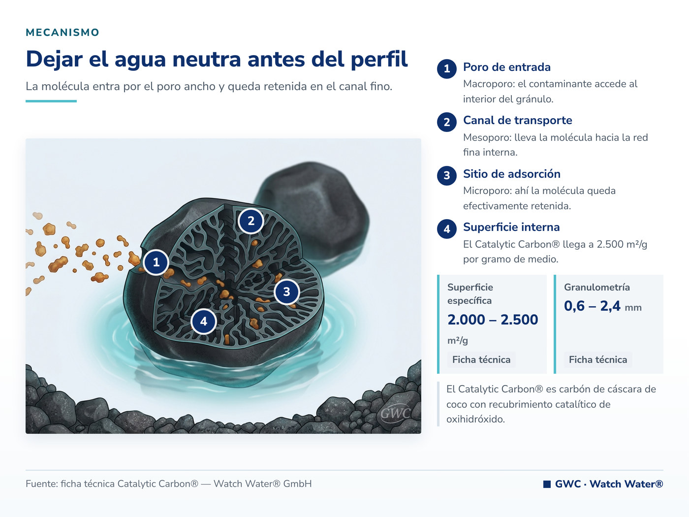 Calidad del agua para cervecerías: el carbón catalítico deja el agua neutra de sabor