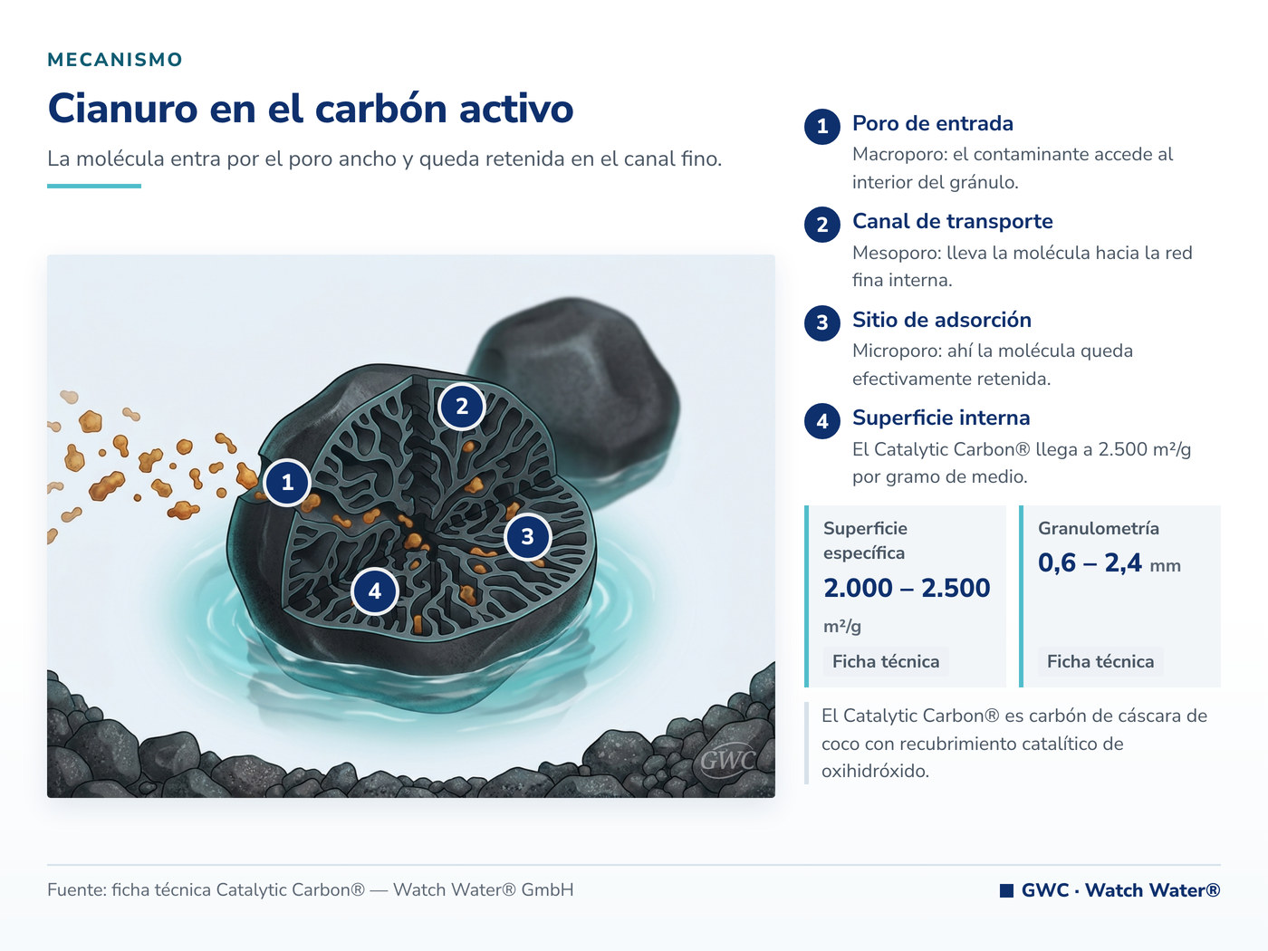 Remoción de cianuro en el agua por adsorción en los poros del carbón catalítico