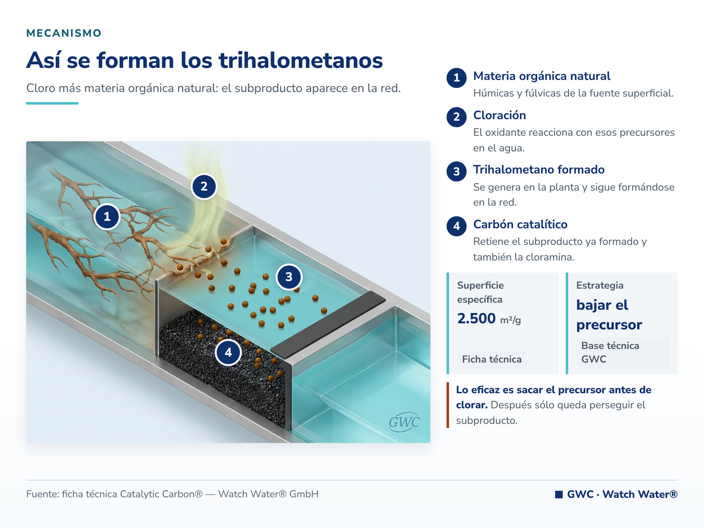 Cloro en el agua: formación de subproductos y retención en el carbón catalítico