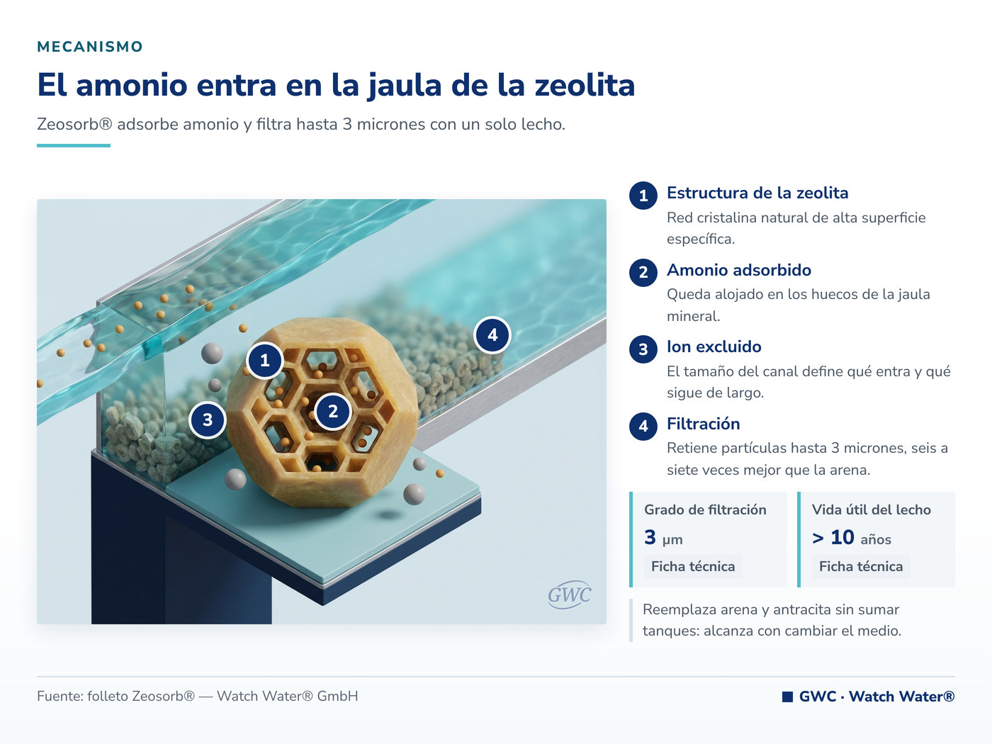 Agua para acuarios: el amonio queda retenido en la estructura cristalina de la zeolita
