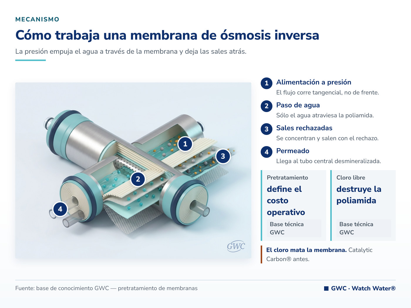 Desmineralización del agua: la membrana retiene las sales y el permeado sale sin minerales