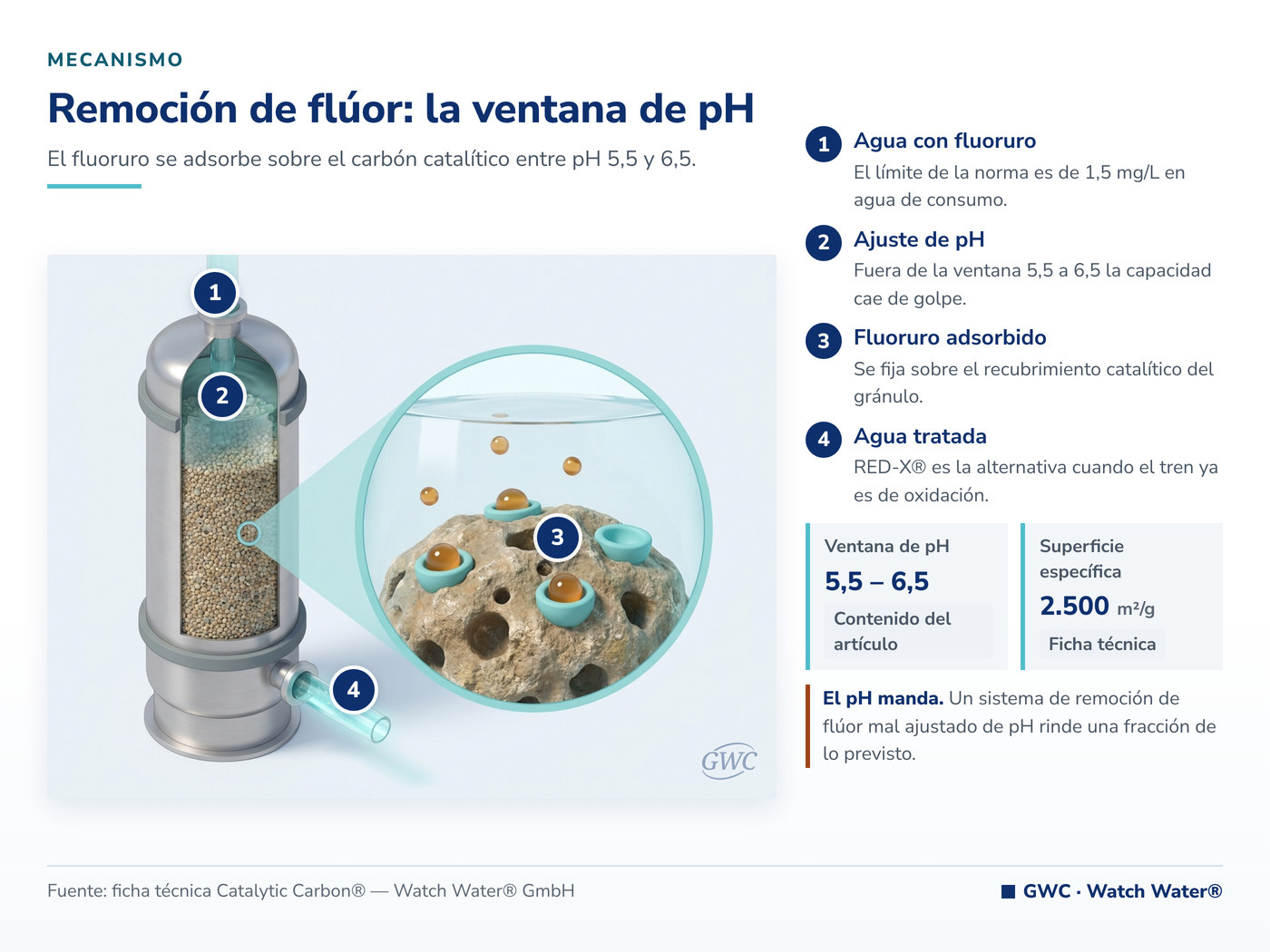 Flúor en el agua de consumo: el fluoruro se adsorbe en la ventana de pH del carbón catalítico