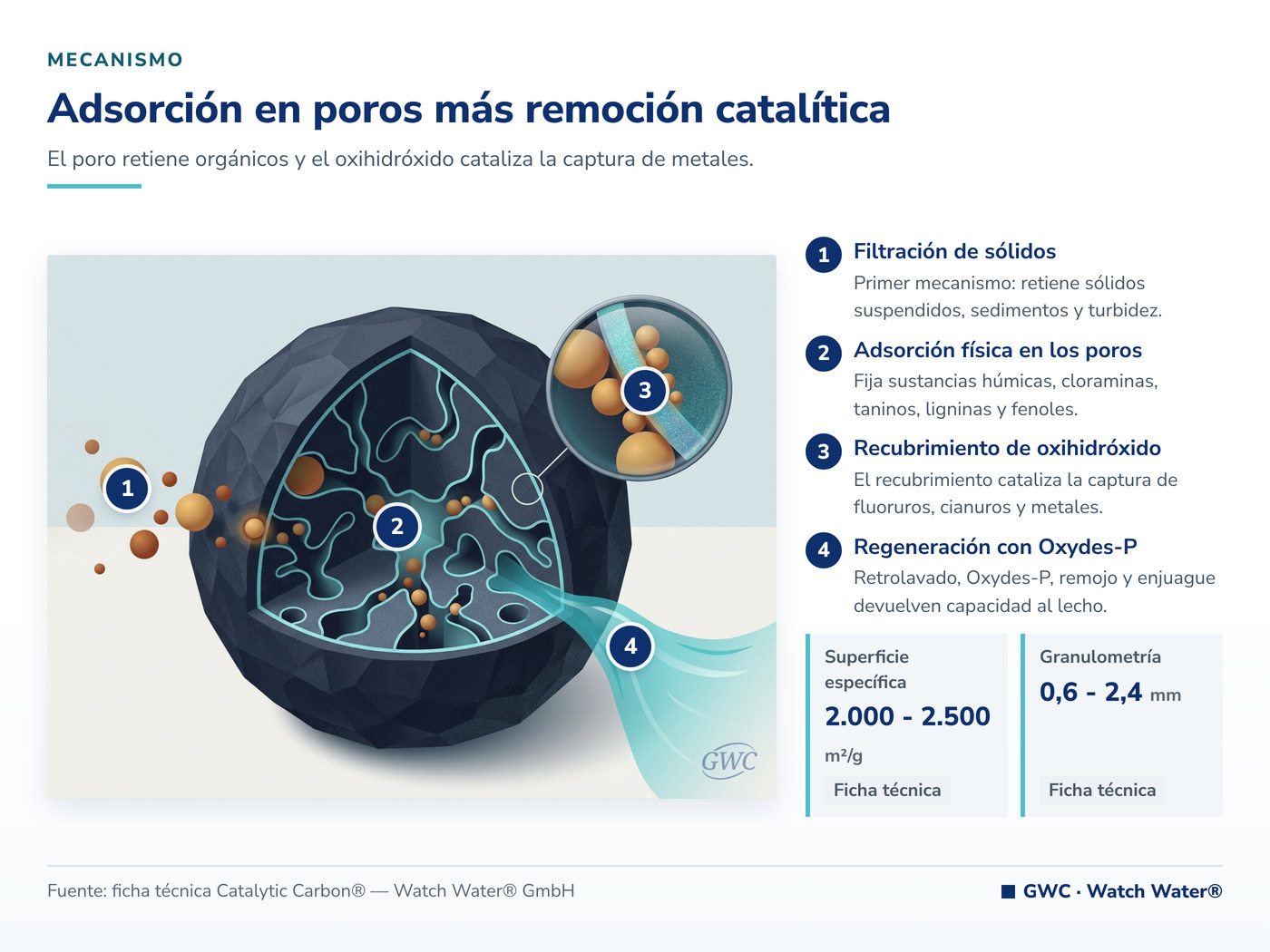 Adsorción en poros más remoción catalítica: el mecanismo de Catalytic Carbon® aplicado a fenoles en efluentes de refinería