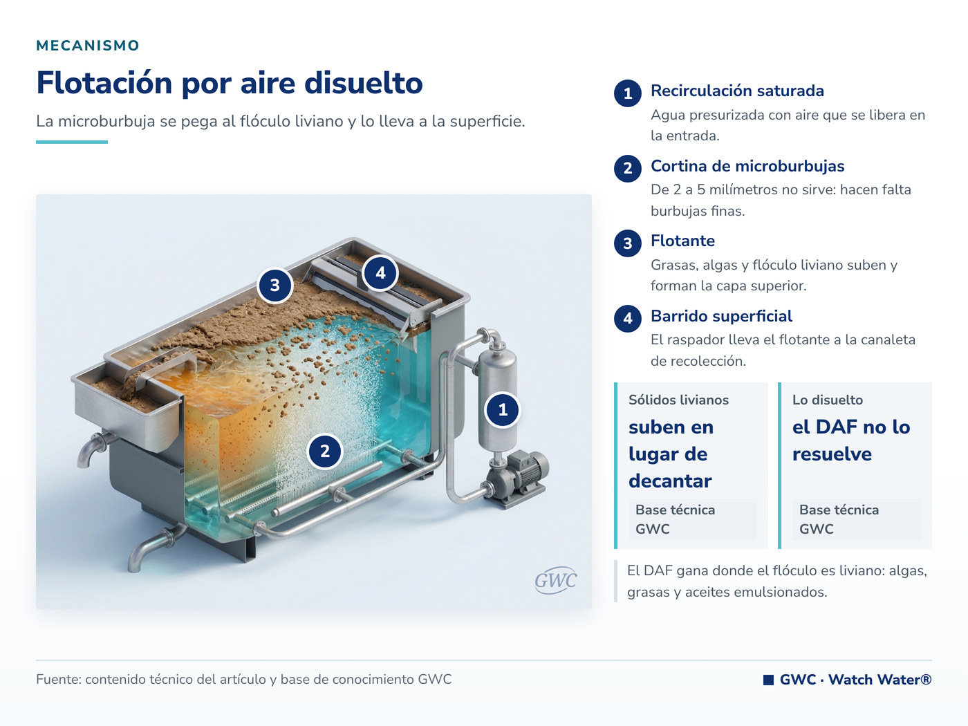 Flotación por aire disuelto: la microburbuja levanta el flóculo hasta la superficie