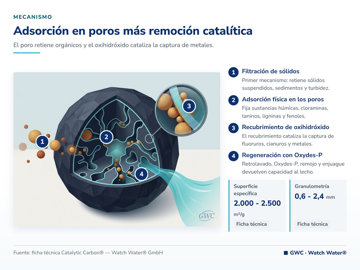 Adsorción en poros más remoción catalítica: el mecanismo de Catalytic Carbon® aplicado a fluoruros en agua