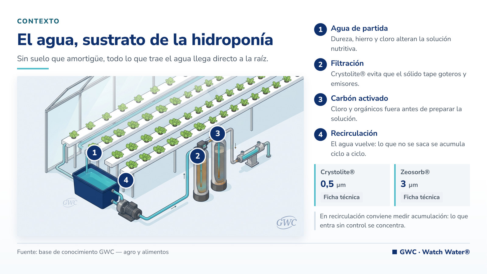 Agua para hidroponía: invernadero con canales de cultivo y línea de tratamiento del agua