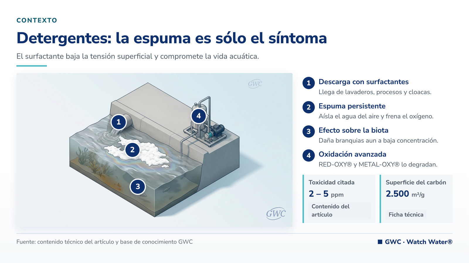 Contaminación por detergentes en el agua: espuma persistente aguas abajo de una descarga industrial