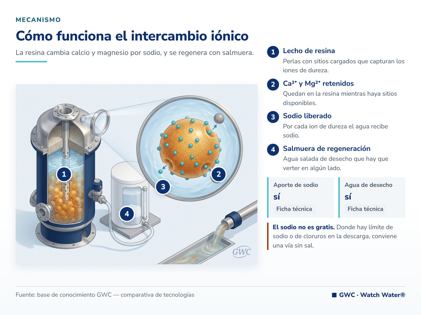 Intercambio iónico: la resina cambia calcio y magnesio por sodio y se regenera con salmuera