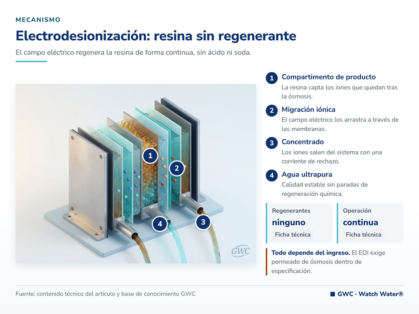 Electrodesionización: el campo eléctrico regenera la resina de forma continua