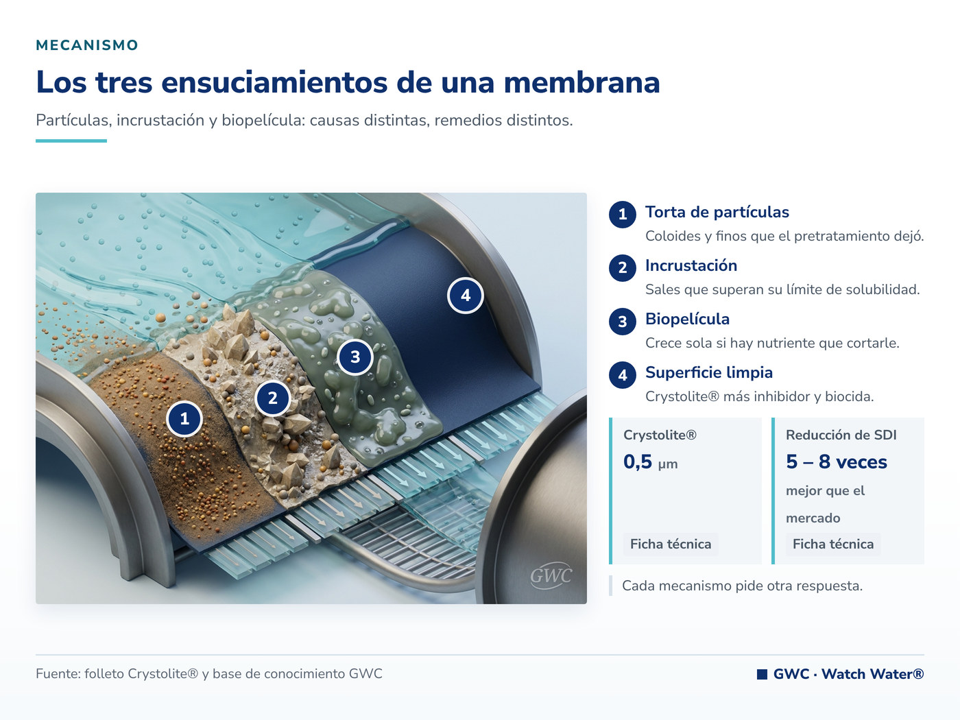 Ensuciamiento de membranas: torta de partículas, incrustación y biopelícula sobre la superficie