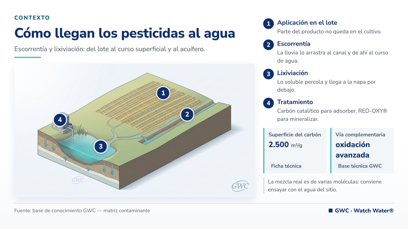 Pesticidas en el agua: lote cultivado, escorrentía hacia el canal y percolación a la napa