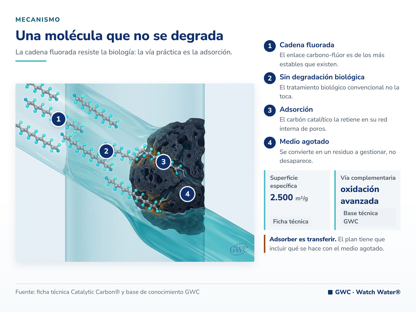 PFOA y PFOS en el agua: la cadena fluorada queda retenida en la red de poros del carbón