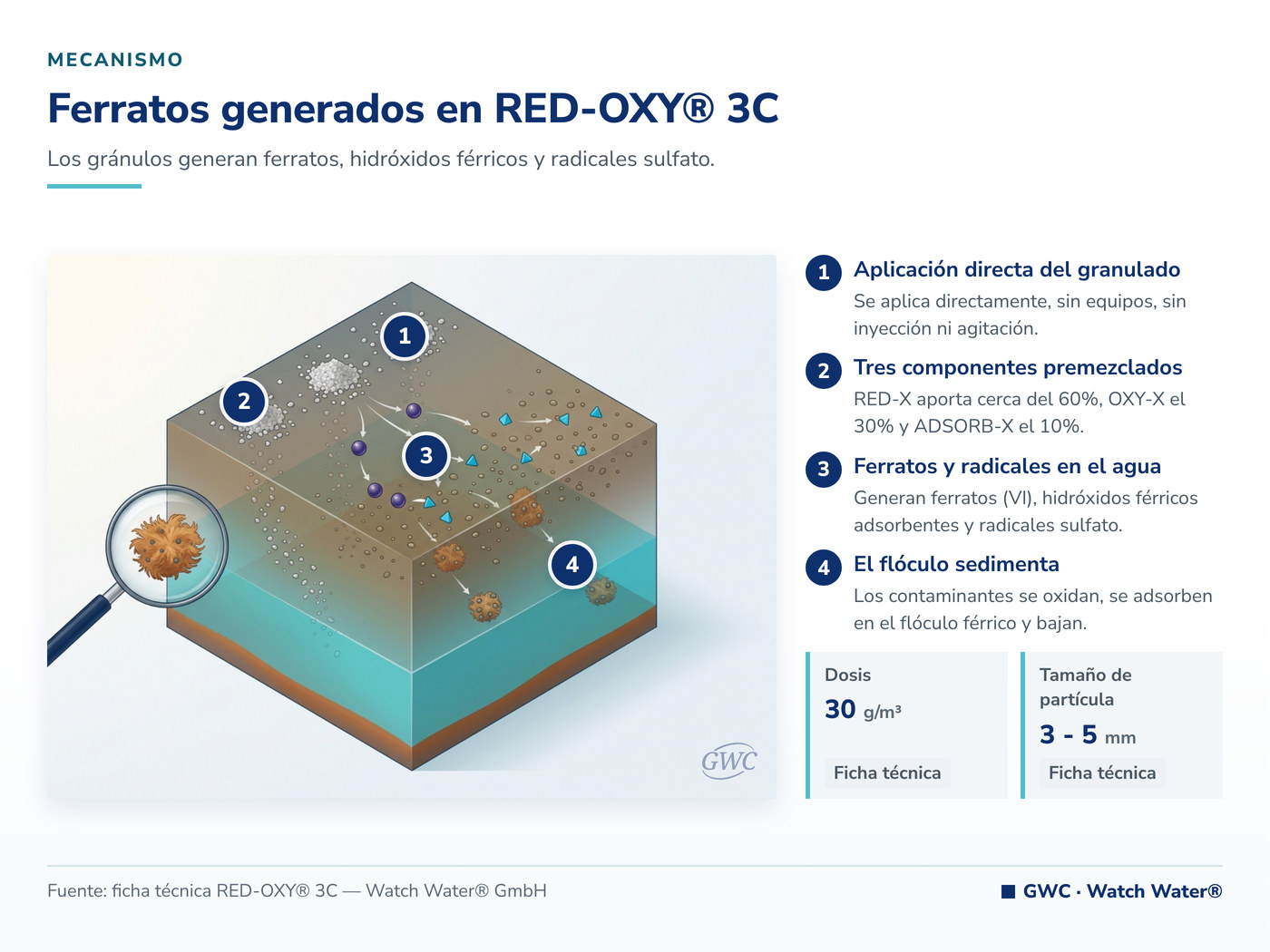 Ferratos generados sobre el cuerpo de agua en RED-OXY® 3C — mecanismo de RED-OXY® 3C