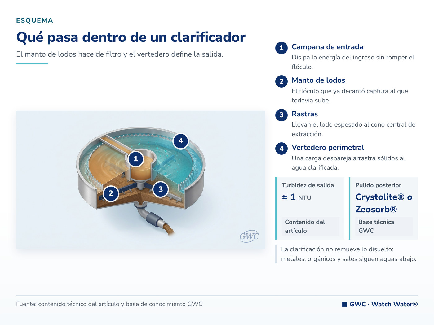 Clarificación del agua: campana de entrada, manto de lodos, rastras y vertedero perimetral