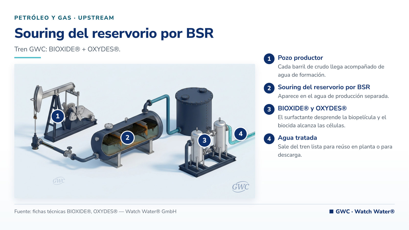 Bacterias sulfato reductoras en petróleo: souring del reservorio por BSR en upstream y el tren de tratamiento de GWC
