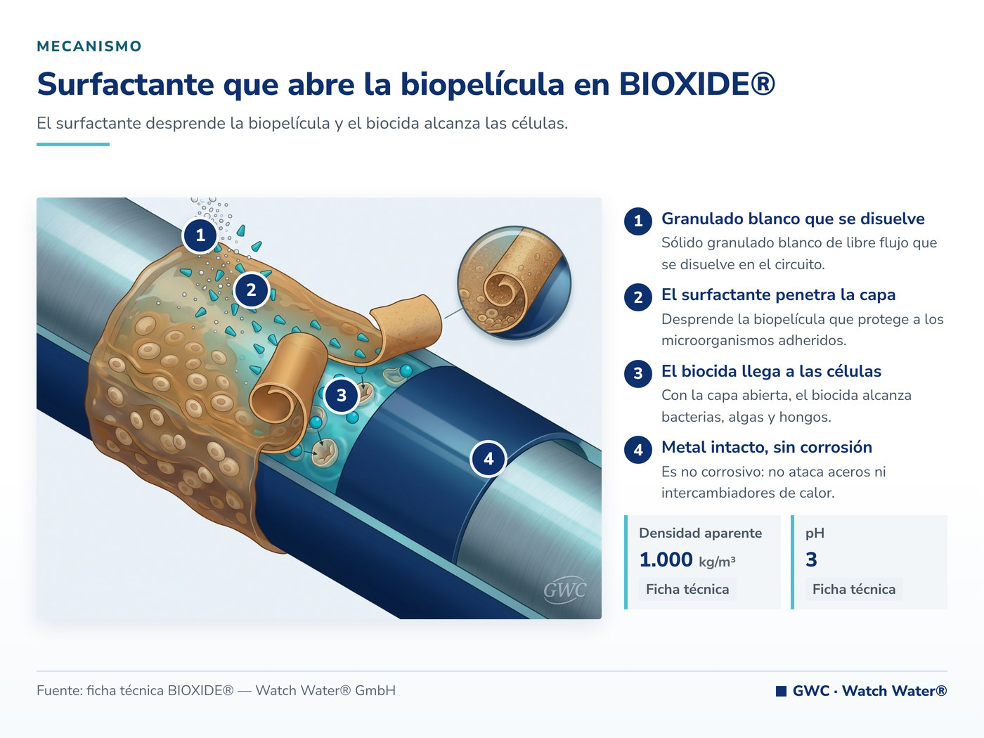 Surfactante que abre la biopelícula en BIOXIDE®: el mecanismo de BIOXIDE® aplicado a souring del reservorio por BSR