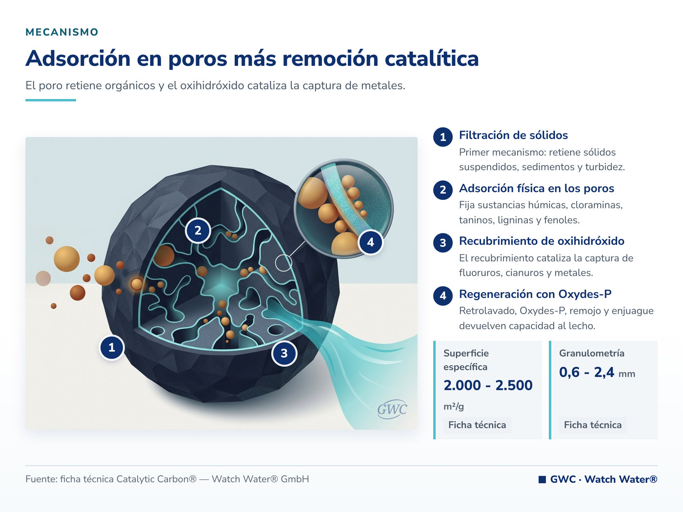 Adsorción en poros más remoción catalítica — mecanismo de Catalytic Carbon®